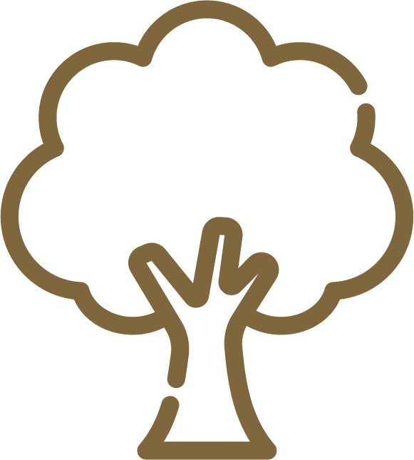 Baum1.1