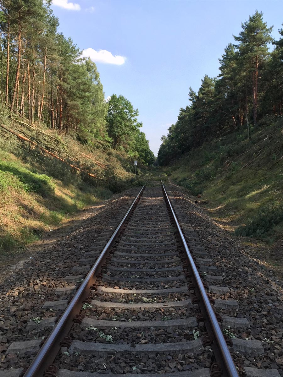 GaLaBau_Schmidt-Bilder_Forstdienst12
