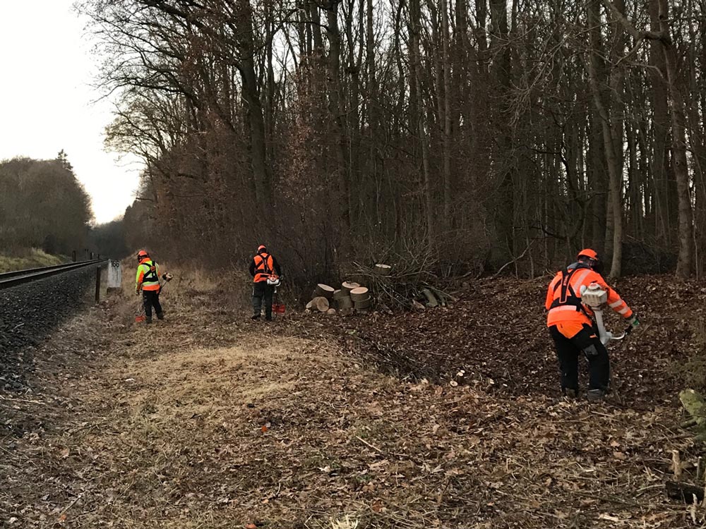 GaLaBau_Schmidt-Bilder_Forstdienst16