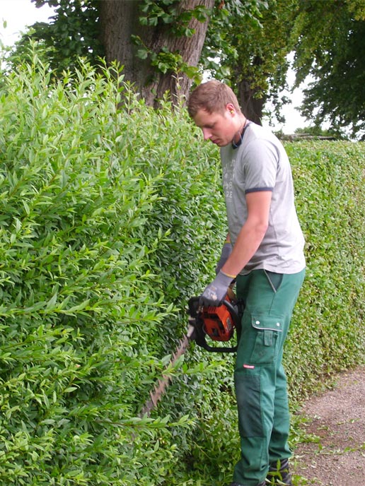 GaLaBau_Schmidt-Bilder_Garten3-1