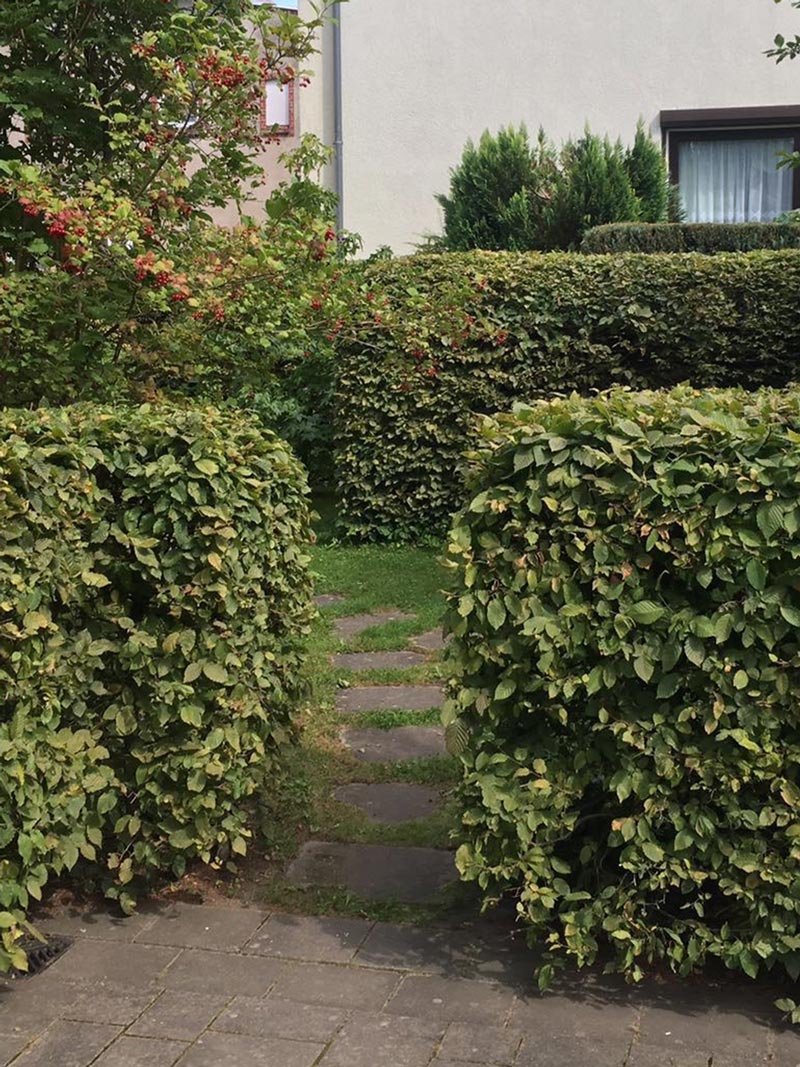 GaLaBau_Schmidt-Bilder_Pflaster7
